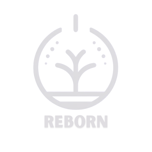 芮本管理顧問有限公司